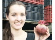 SPRAY FREE BEETROOT Medium Size Red Each  Katikati Grown